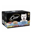 Cesar Senior 10+ Wet Dog Food In Delicate Jelly 8 x 150g