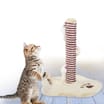 My Pets Cat Scratch Post