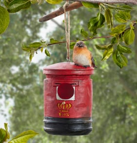 Wild Garden Mailbox Bird House - Bird