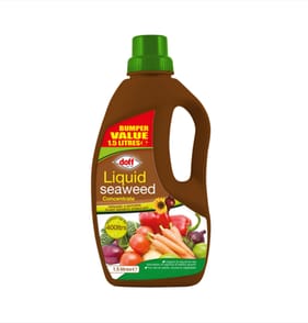 Doff Liquid Seaweed Concentrate 1.5l - Bumper Value