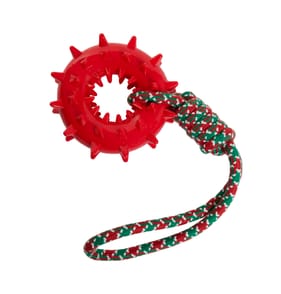 Festive Paws Rope Tough Toy