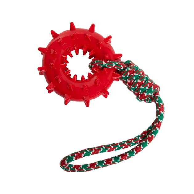 Festive Paws Rope Tough Toy Home Bargains