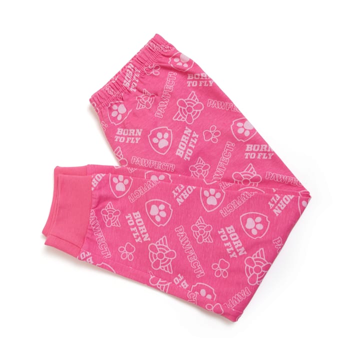 Paw patrol blanket online home bargains