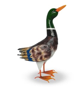 Jardin Ornamental Duck - Mallard
