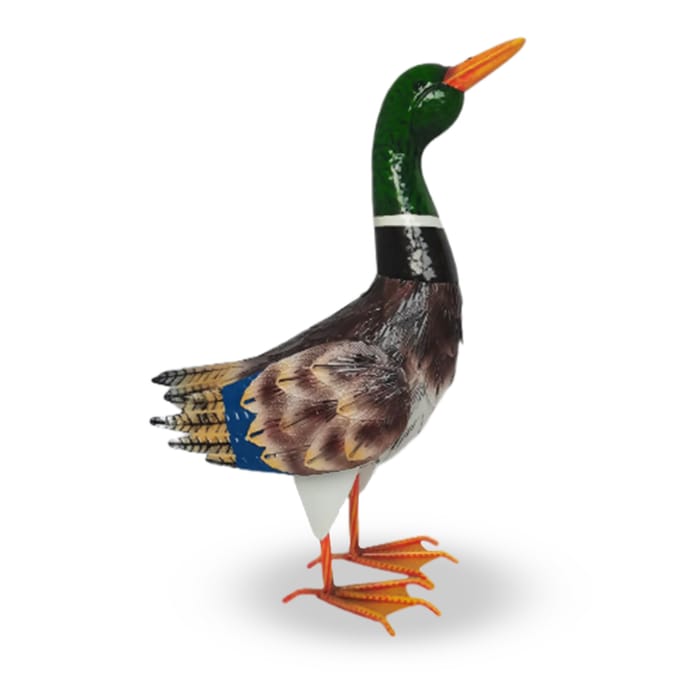 Jardin Ornamental Duck - Mallard