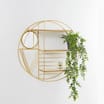 Home Collections Circular Wall Shelf - Gold