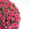 Jardin Medium Rose Ball 2 Pack
