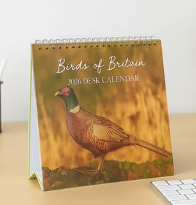 2026 Desk Calendar - Birds of Britain