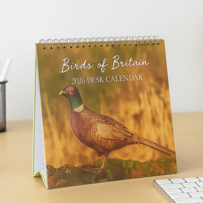 2026 Desk Calendar - Birds of Britain
