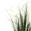 Home Collections Grass In Rope Pot