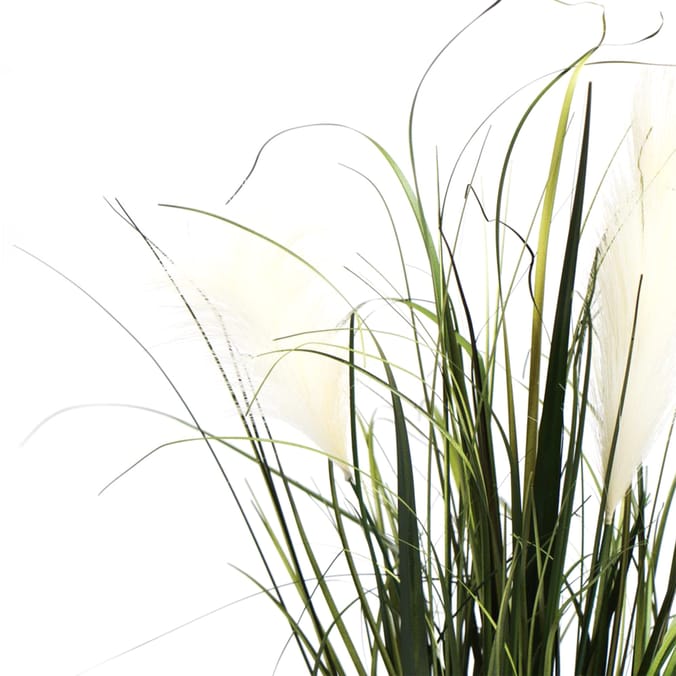 Home Collections Grass In Rope Pot