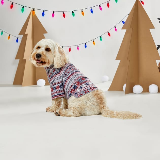 Home bargains dog deals coats