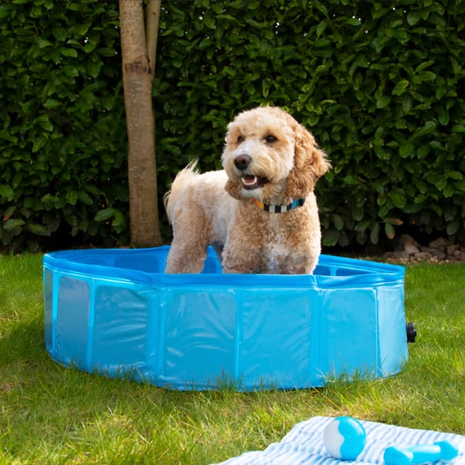 My Pets Pet Paddling Pool - One Size