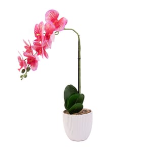 Home Collections Real Touch Pink Orchid in White Pot