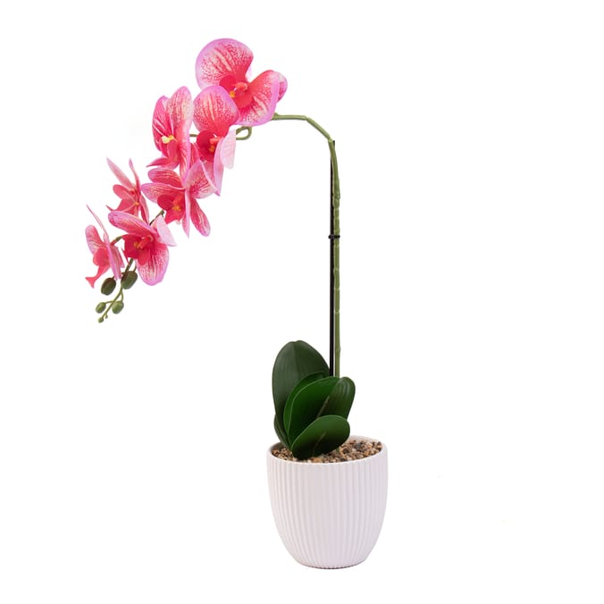  Home Collections Real Touch Pink Orchid in White Pot