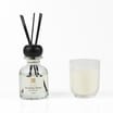 Wickford & Co Scented Reed Diffuser Gift Set
