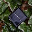 Firefly Ivy Trellis Solar Lights