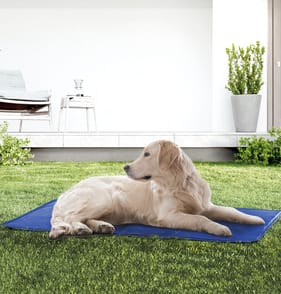 Totally Pawsome Large Pet Cooling Mat