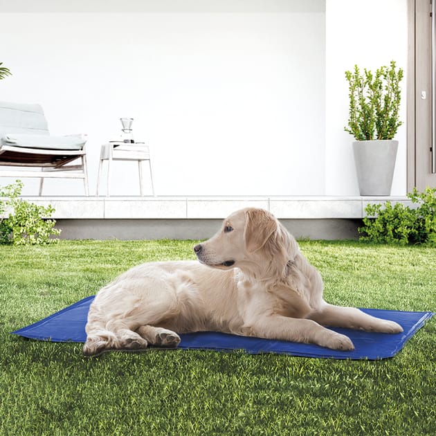Totally Pawsome Large Pet Cooling Mat Home Bargains