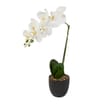 Home Collections Real Touch White Orchid In Black Pot