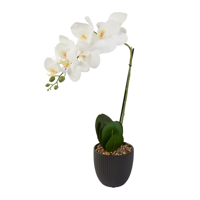Home Collections Real Touch White Orchid In Black Pot