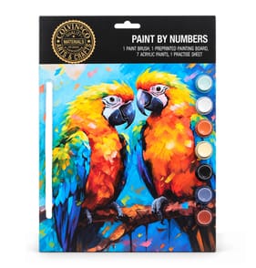 Colvin & Co Paint By Numbers