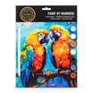 Colvin & Co Paint By Numbers