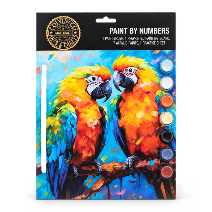 Colvin & Co Paint By Numbers