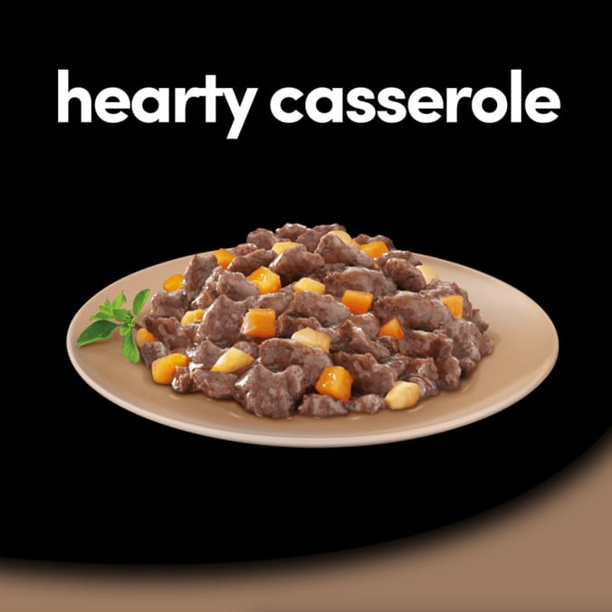 Cesar Hearty Casserole Adult Wet Dog Food Mixed Trays 8 x 150g