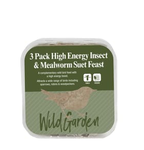 Wild Garden High Energy Insect & Mealworm Suet Feast 3 Pack 840g