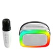 Equatech Karaoke & LED Light Up Party Speaker