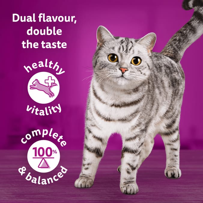 Home bargains outlet whiskas cat food