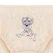 Paw Patrol Kids Briefs 5 Pack