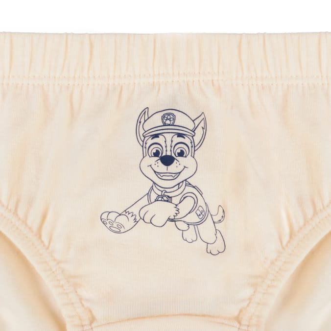 Paw Patrol Kids Briefs 5 Pack
