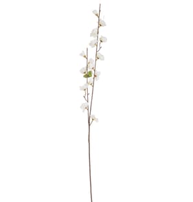 Home Collections Cherry Blossom Pick