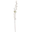 Home Collections Cherry Blossom Pick