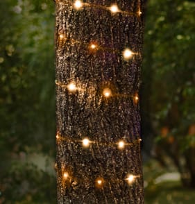 Prestige 100 LED Micro String Lights - Warm White