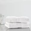Home Collections White 2 Luxury Hand Towels