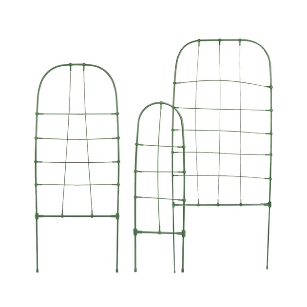 Jardin 3 Piece Plants Trellis Home Bargains