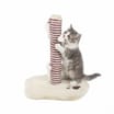 My Pets Cat Scratch Post