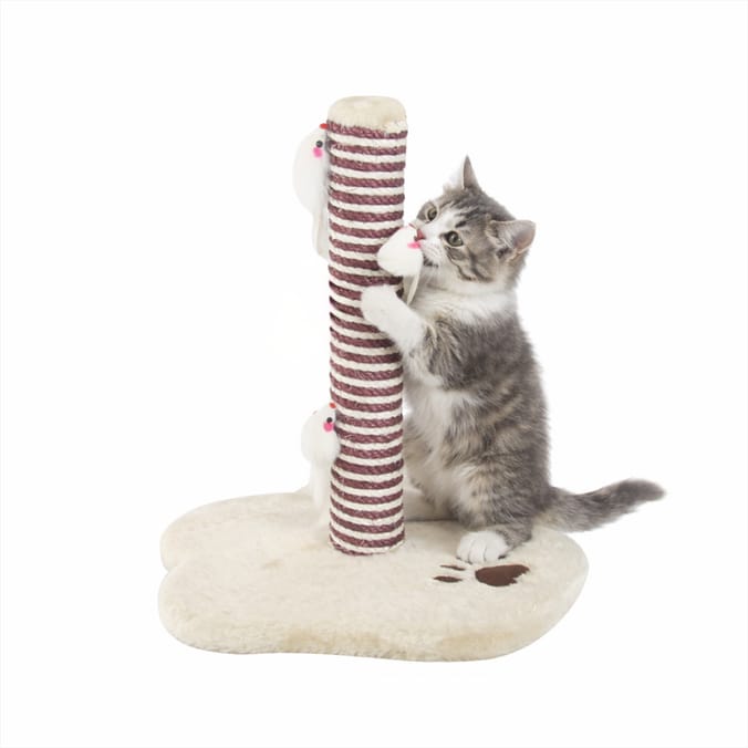 My Pets Cat Scratch Post