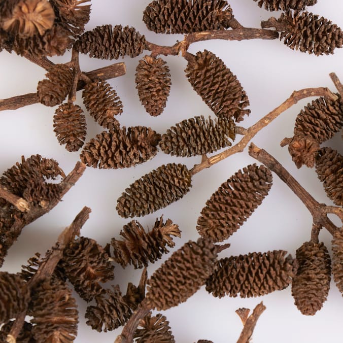 Festive Feeling Craft Accessories - Mini Pine Cones