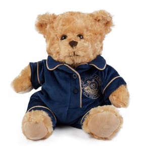 The Polar Express Plush Bear In Blue Pjs
