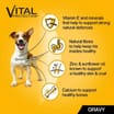 Pedigree Vital Protection 40 Adult In Gravy Pouches 100g