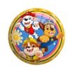 Licensed Play Ball Size 4 - Paw Patrol