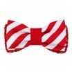 Chester's Bow Tie 