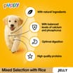 Pedigree Puppy Mixed Selection with Rice in Jelly Dog Food Pouches 12 x 100g
