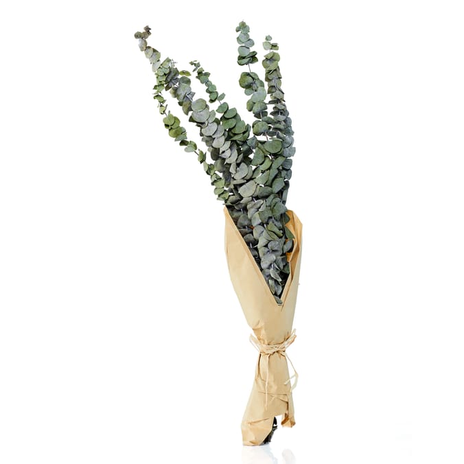 Home Collections Eucalyptus Bouquet