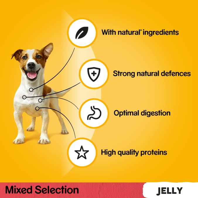 Pedigree Mixed Selection in Jelly Adult Wet Dog Food Pouches 12 x 100g