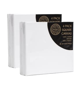 Colvin & Co Artists 20x20cm Canvas 4 Pack x2